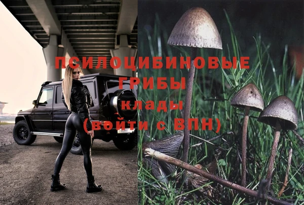 PSILOCYBIN Абинск