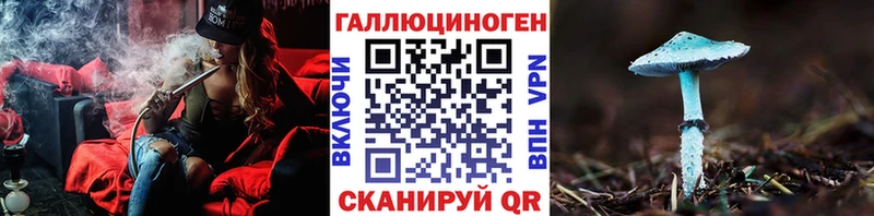 Псилоцибиновые грибы Cubensis блэк спрут онион Сафоново
