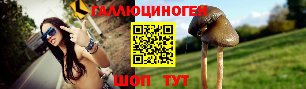 Галлюциногенные грибы мицелий  Вход с VPN  Псилоцибиновые грибы Cubensis  Сафоново 