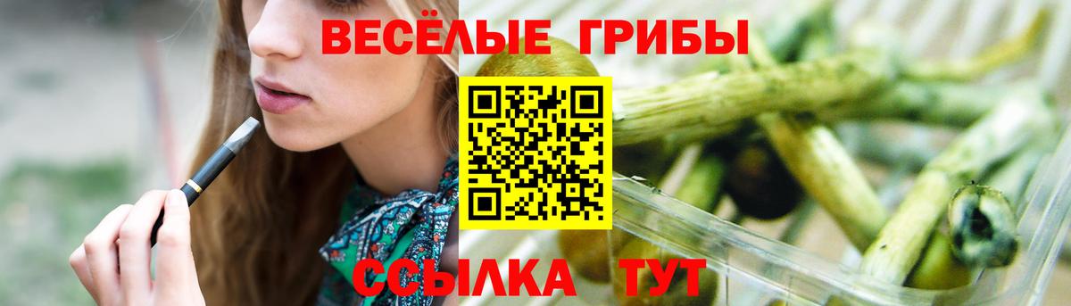 Псилоцибиновые грибы Psilocybine cubensis Сафоново